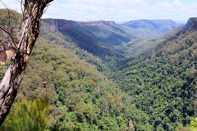 Southern Highlands Private Tour with Wine, Waterfall and Garden - Berrima: Georgian streets, sandstone charm, and shop time