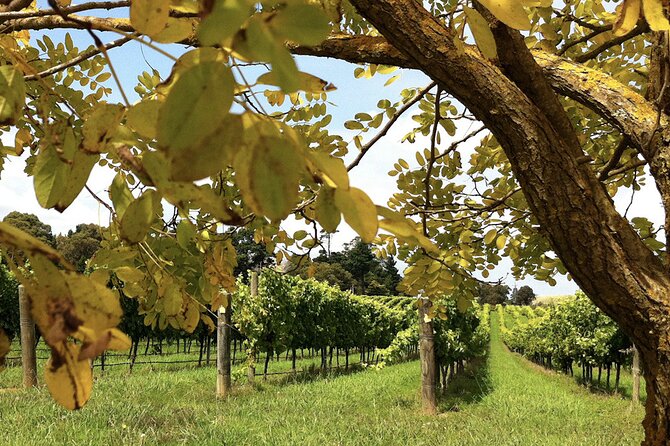 Southern Highlands Private Tour with Wine, Waterfall and Garden - Bowral stop: rolling hills and a soft first hour
