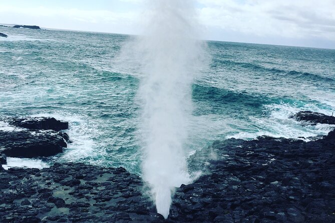 Southern Highlands & South Coast Private Tour From Sydney - Kiama lunch break and Lake Illawarra: refuel, then choose your adventure