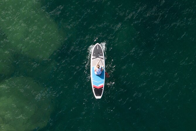Stand Up Paddle Board Hire - 2 Hours - Where You Start: Manly Kayak Centre by Manly Wharf