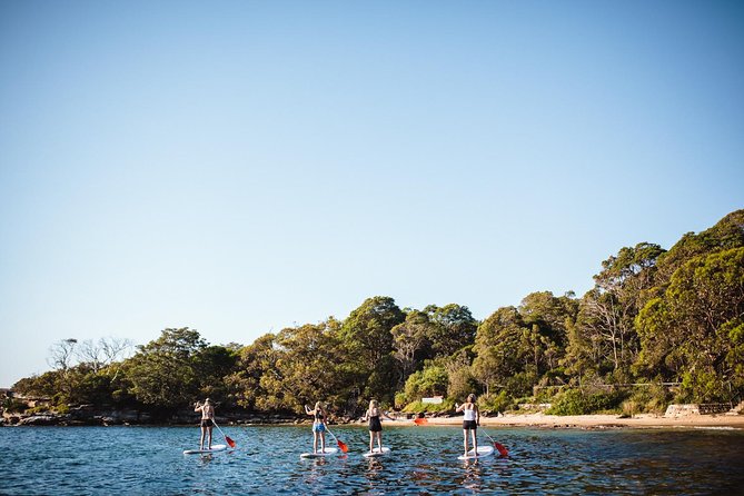 Stand Up Paddle Board Hire - 2 Hours - When Weather Changes: How to Think About Wind, Rain, and Timing