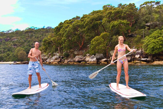 Stand Up Paddle Board Hire - 2 Hours - Location Value: Why Manly North Harbour Is an Easy Win