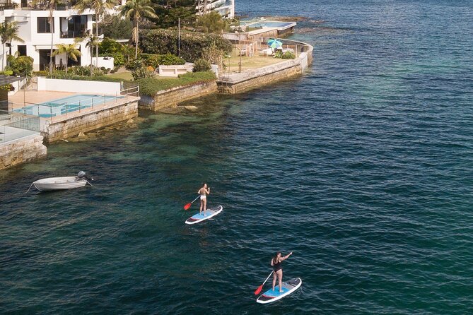 Stand Up Paddle Board Hire - 2 Hours - What Happens First: Setup, Safety, and Getting Your Paddle Rhythm