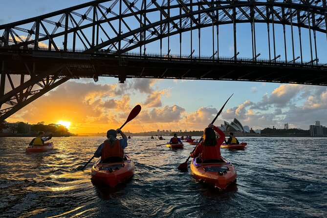 Sunrise Paddle Session on Syndey Harbour (single kayak) - Quick Highlights You’ll Actually Care About