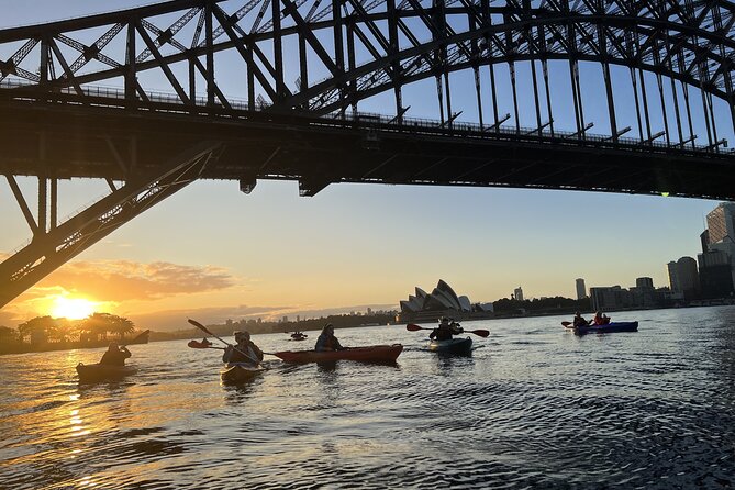 Sunrise Paddle Session on Syndey Harbour (single kayak) - Why Sunrise Kayaking on Sydney Harbour Feels Special