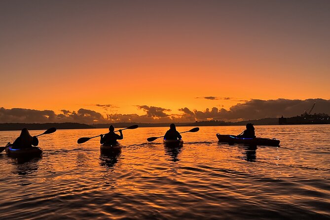 Sunrise Paddle Session on Syndey Harbour (single kayak) - Harbour Bridge at Sunrise: The Money Shot (Weather Permitting)
