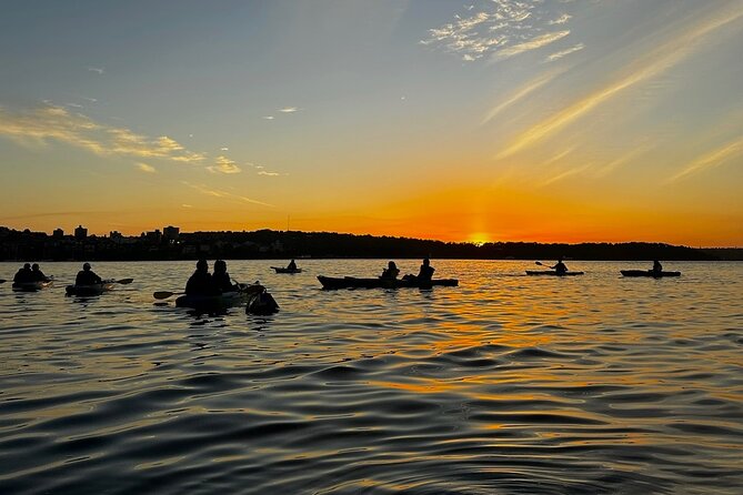 Sunrise Serenity Kayak Tour of Sydney Harbour - The Guide Team Makes It Feel Easy (and Safe)