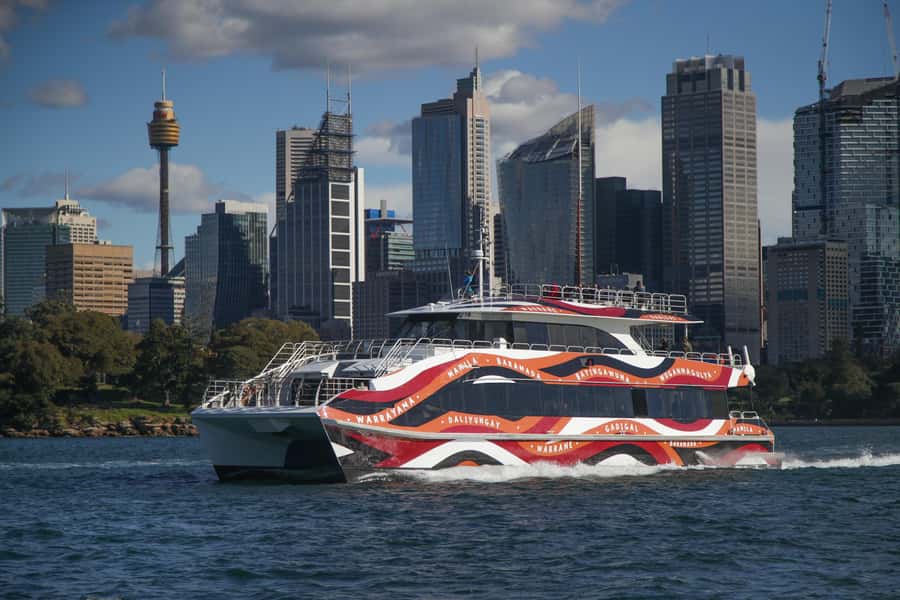 Sydney: 2-hour Express Whale Watching Cruise - Price and Value: Is $63 a Fair Deal in Sydney?