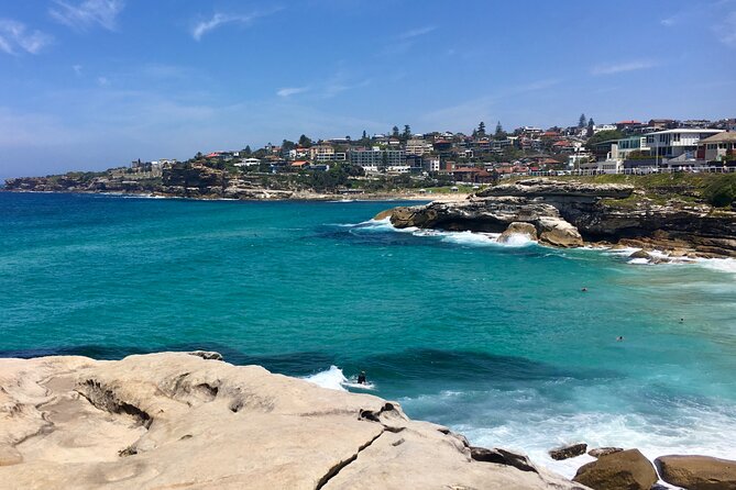 Sydney Beaches Half Day Drive and Walk Tour - Why This 4-Hour Beaches Route Works So Well