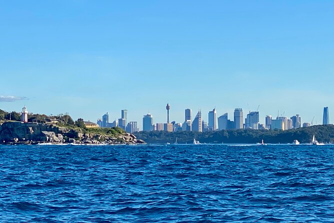 Sydney Beaches Half Day Drive and Walk Tour - Watsons Bay Finale: Ferry Option Back to the City