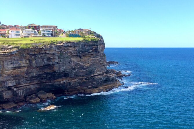 Sydney Beaches Half Day Drive and Walk Tour - Price and Value: What $200.11 Buys You