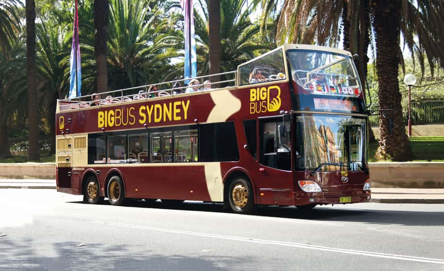 Sydney: Big Bus Hop-On Hop-Off Tour with Optional Cruise - Who This Tour Fits Best (and Who Might Skip It)