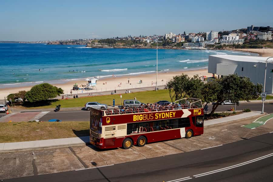 Sydney: Big Bus Hop-On Hop-Off Tour with Optional Cruise - Bondi Tour (Blue): From Central Station to Bondi Beach