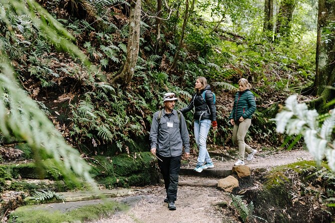 Sydney Blue Mountains Day Tour with Wildlife Park and Waterfalls - Lincoln’s Rock: the Jamison Valley view that changes with the weather