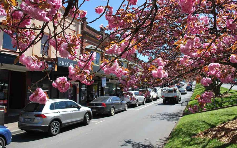 Sydney: Blue Mountains & Featherdale Wildlife Park Day Trip - Waterfalls, cascades, and easy bushwalks: how the afternoon stays enjoyable