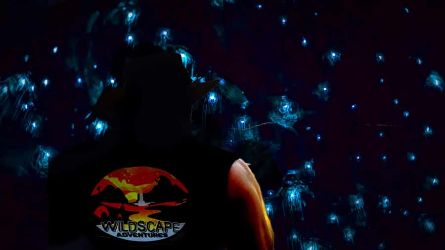 Sydney: Blue Mountains Glow Worms Wild Adventure by Night - Key Things That Make This Tour Special