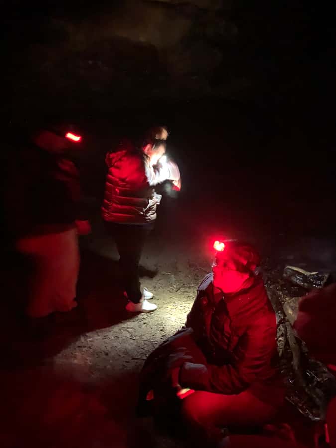 Sydney: Blue Mountains Glow Worms Wild Adventure by Night - Who This Tour Suits Best (and Who Should Skip It)