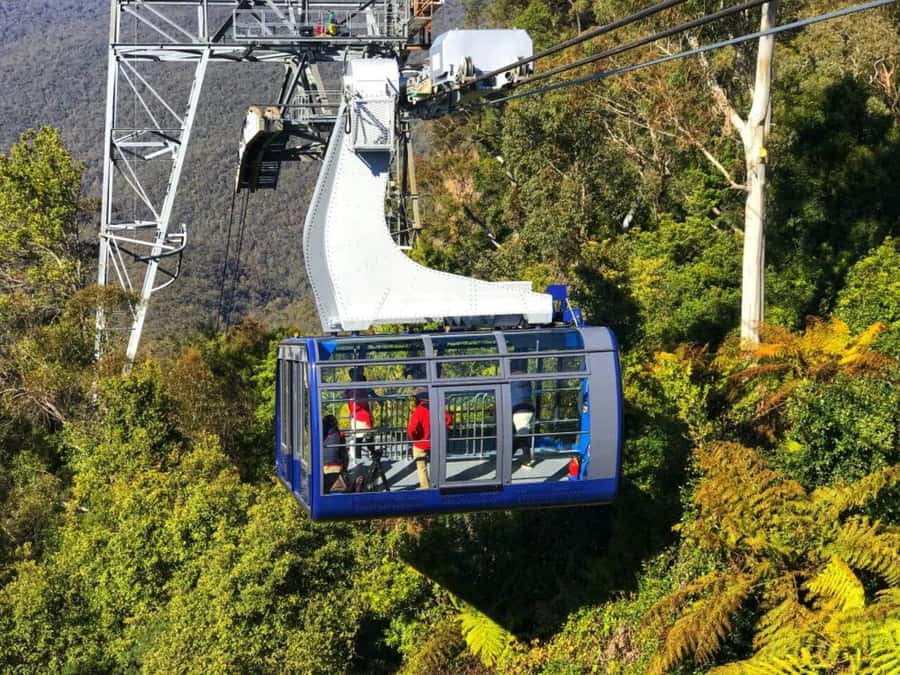 Sydney: Blue Mountains Half Day Scenic World & Lookout Tour - A 7-hour Blue Mountains Day That Actually Moves