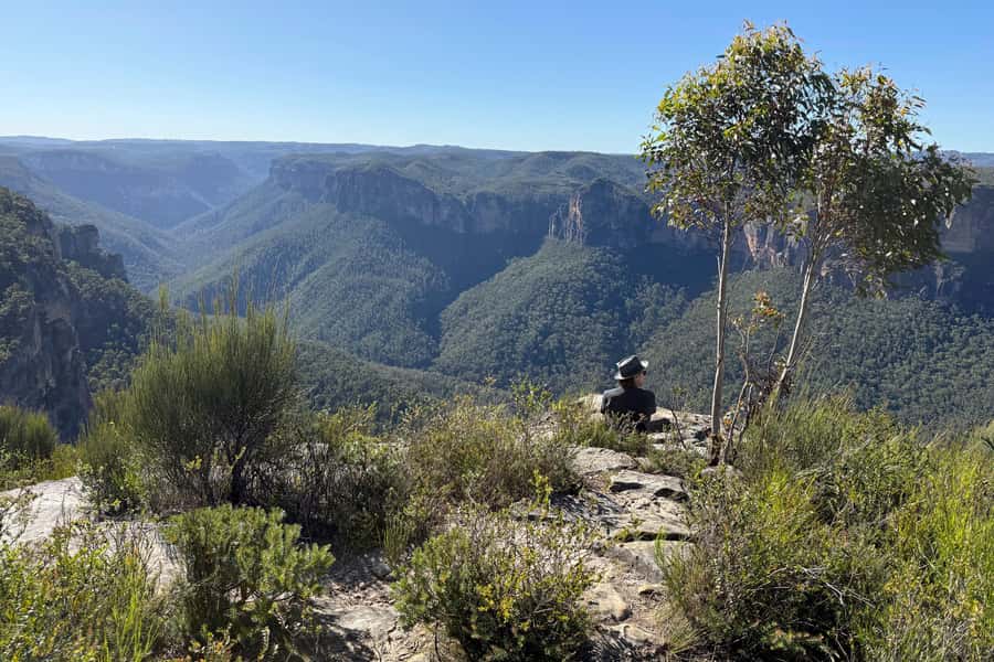 Sydney: Blue Mountains Kangaroos, Wilderness and Sunset Tour - Walking in the Blue Mountains: the step count and fitness reality check