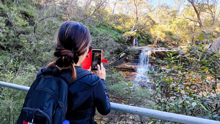 Sydney: Blue Mountains Late Start: Walks, Wildlife & Dinner - Wentworth Falls: lunch + a hike where the views feel earned