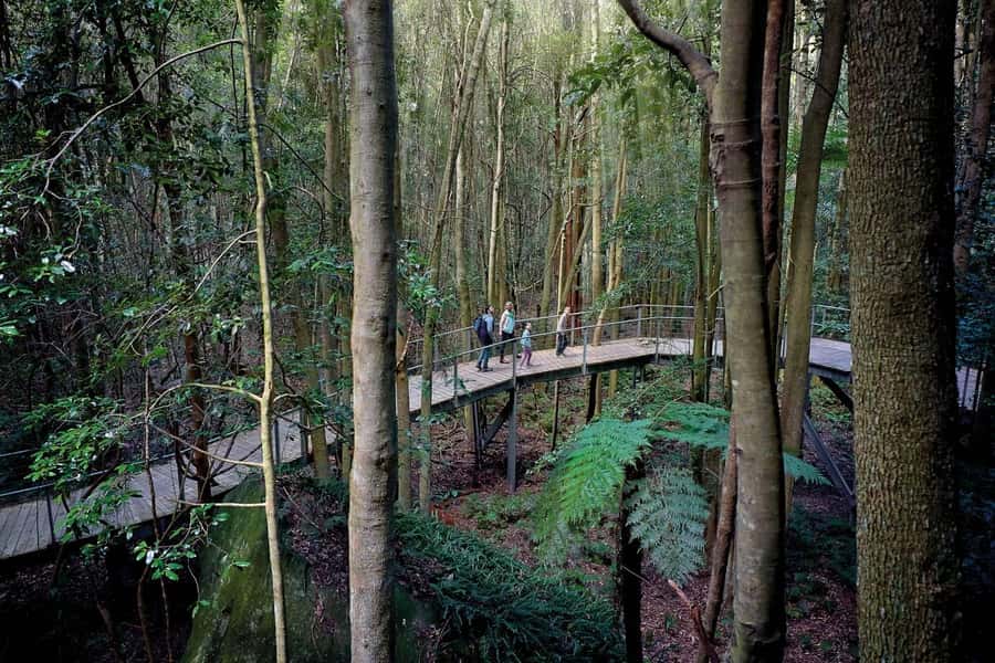 Sydney: Blue Mountains National Park Tour with River Cruise - Scenic World: Cable Cars, the Steep Railway, and the Elevated Walkway