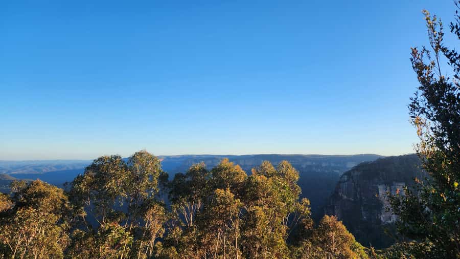 Sydney Blue Mountains, Scenic World, Featherdale - Price and value: what the $300 covers and what costs extra