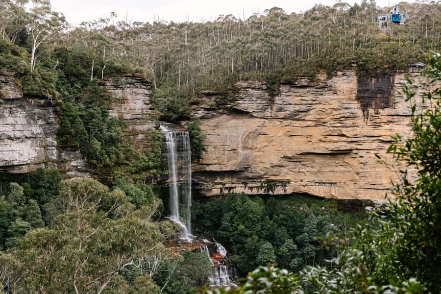 Sydney: Blue Mountains Scenic World, Wildlife Park and Lunch - Who this tour fits best (and when you might skip it)