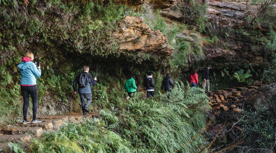 Sydney: Blue Mountains Wildlife & Bushwalk Small-Group Tour - Setting off from Sydney: pickup timing and how the day flows