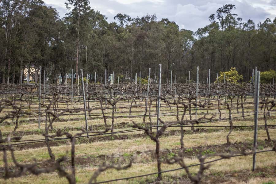 Sydney: Chef-Led Hunter Valley Food & Wine Tour - The Sweet Ending: Chocolate Tasting and a Finale Treat