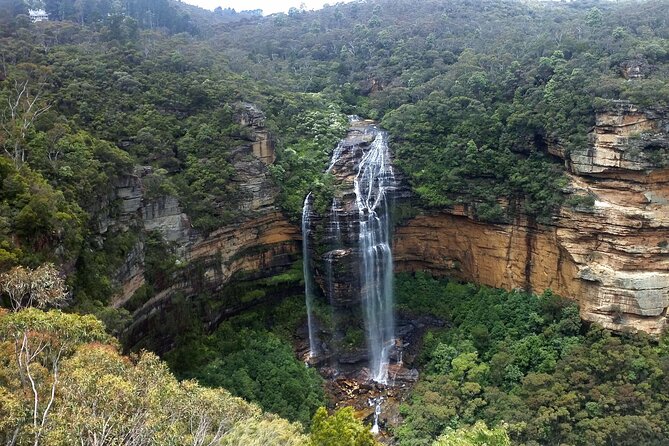 Sydney City and Blue Mountains in One Day Private Tour - How this One-Day Sydney + Blue Mountains tour really works