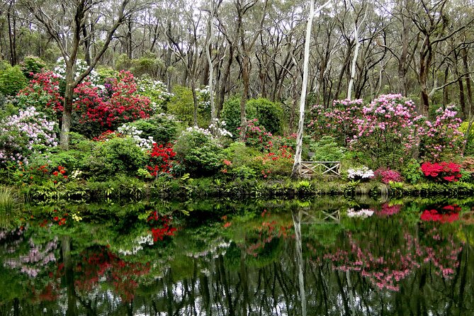 Sydney City and Blue Mountains in One Day Private Tour - The included food experience across the bushland