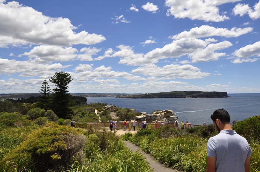 Sydney: City Highlights Guided Bus Tour - The ride back through Bondi Junction, Centennial Park, Paddington, and Oxford Street