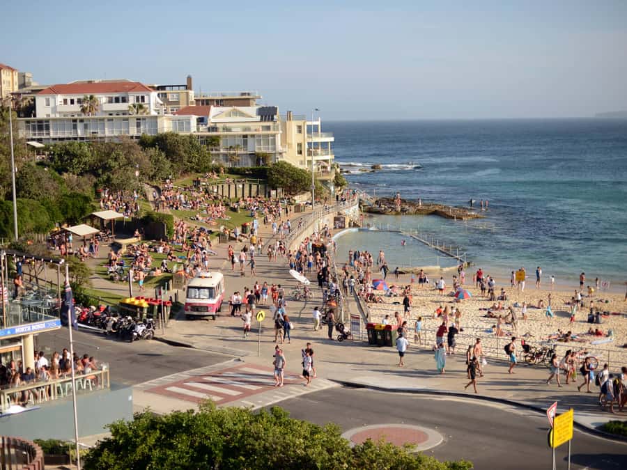 Sydney: City Highlights Guided Bus Tour - Price and value: why $34 feels fair for 3.5 hours