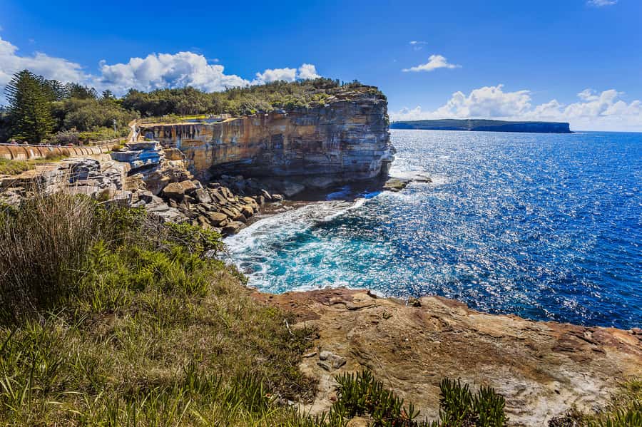 Sydney: City Highlights Private Half-Day Tour - Royal Botanic Gardens to Mrs Macquarie’s Point: the harbor view you’ll remember