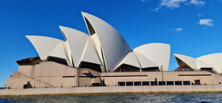 Sydney: City Sights Walking Tour - Royal Botanic Garden Sydney: a breather with flora you can actually notice
