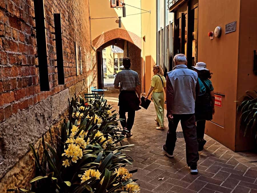 Sydney: City Sights Walking Tour - Pacing, comfort, and who should go