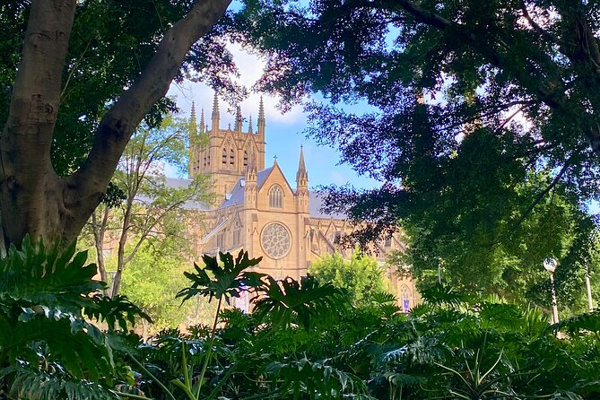 Sydney City Walking Tour - Key things to know before you go