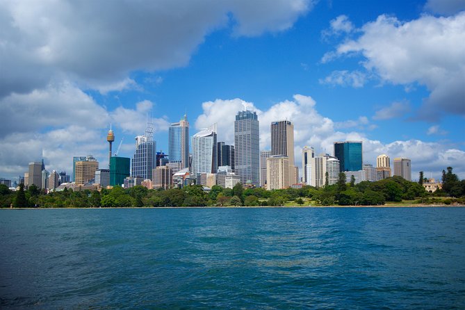 Sydney Coastal Escape | Private Mercedes Tour Sydney - Sydney Harbour viewpoints: seeing both shores the smart way
