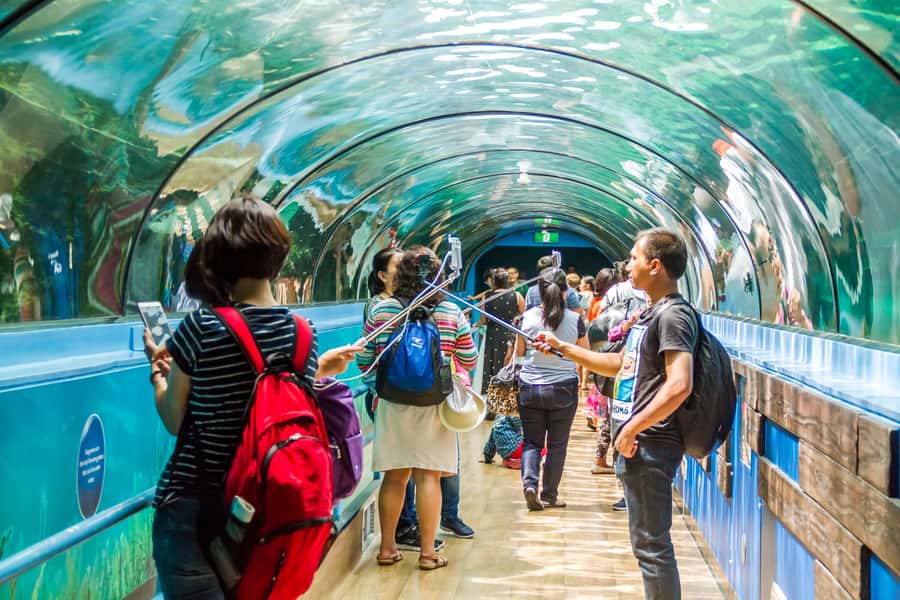 Sydney: Combo Pass for 2, 3, or 4 Top City Attractions - Key Highlights You’ll Care About