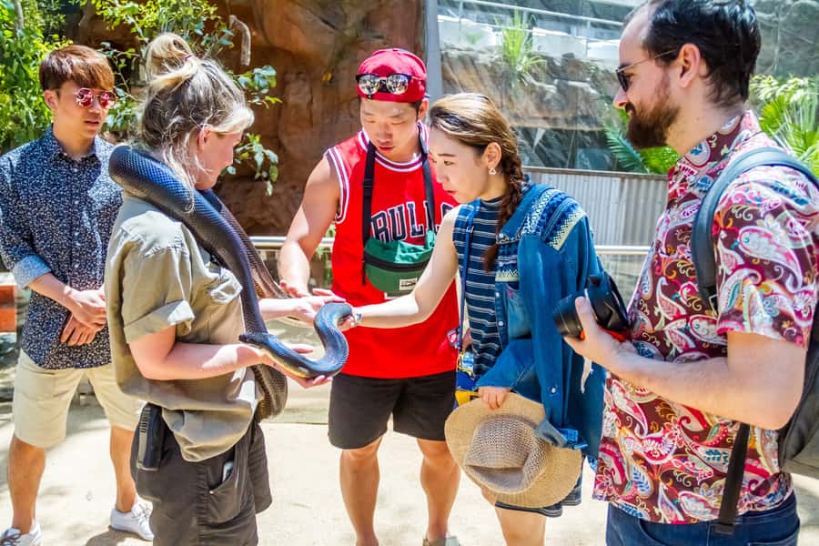 Sydney: Combo Pass for 2, 3, or 4 Top City Attractions - Entering with a Swipe Card and Handling Timeslots
