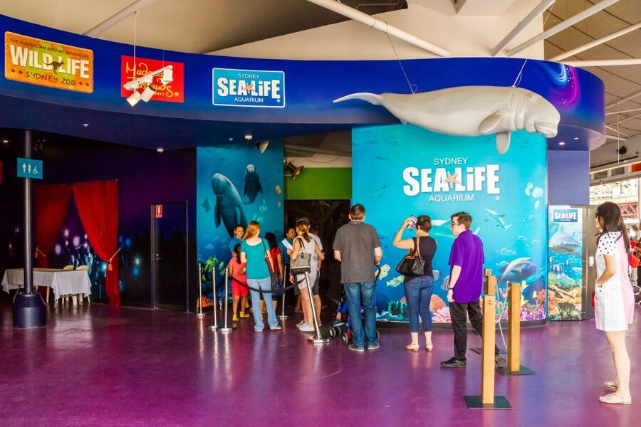 Sydney: Combo Pass for 2, 3, or 4 Top City Attractions - SEALIFE Sydney: Darling Harbour’s All-Australian Aquarium