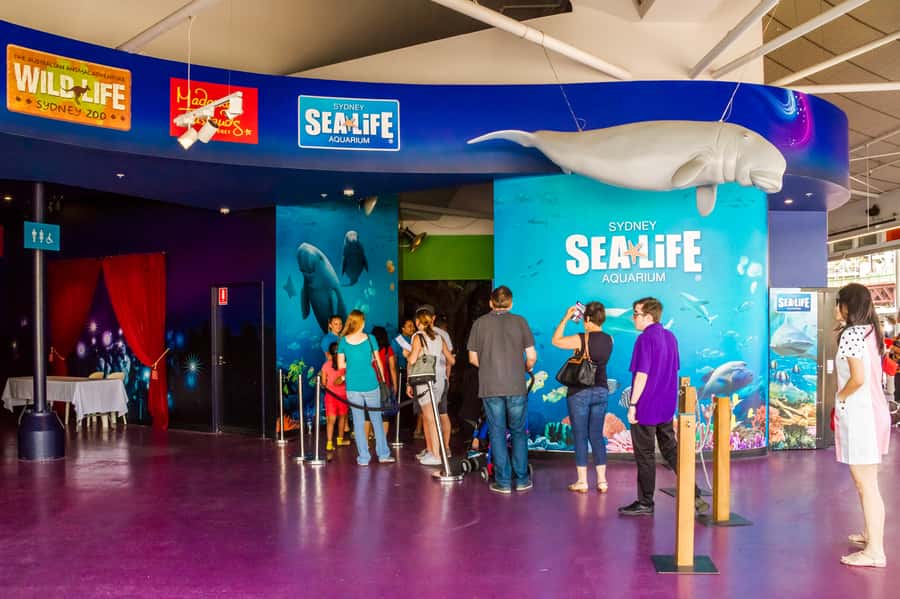 Sydney: Combo Pass for 2, 3, or 4 Top City Attractions - Wild Life Sydney: Koalas, Kangaroos, and a Croc