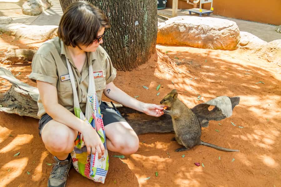 Sydney: Combo Pass for 2, 3, or 4 Top City Attractions - How to Space Visits Over Your 60-Day Window