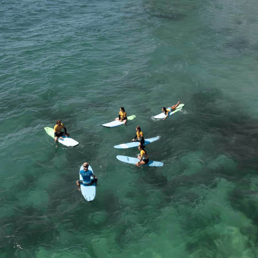 Sydney: Dee Why Beach Group Surfing Lesson - Price and value: why $53 makes sense for a real skill session