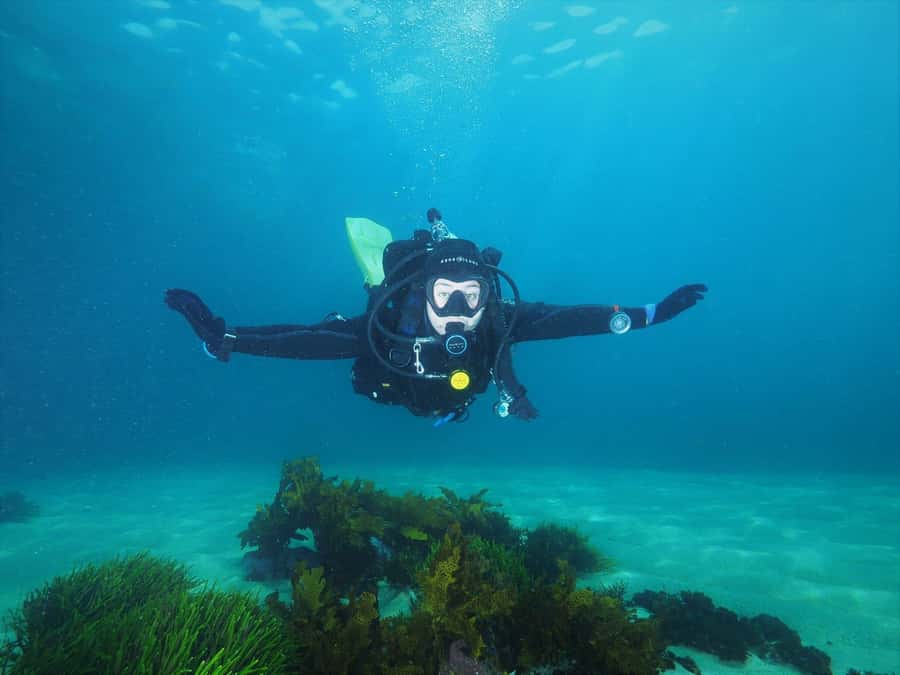 Sydney: Discover Scuba Dive at Australia's most Iconic Beach - Bondi’s icon factor: why this beats the usual intro