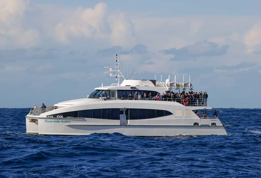Sydney: Discovery Whale Watching Tour by Catamaran - Comfort and onboard setup: air-con, seating, and the bar