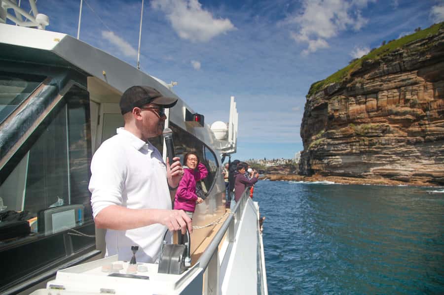 Sydney: Discovery Whale Watching Tour by Catamaran - The onboard photographer: getting shots without the stress