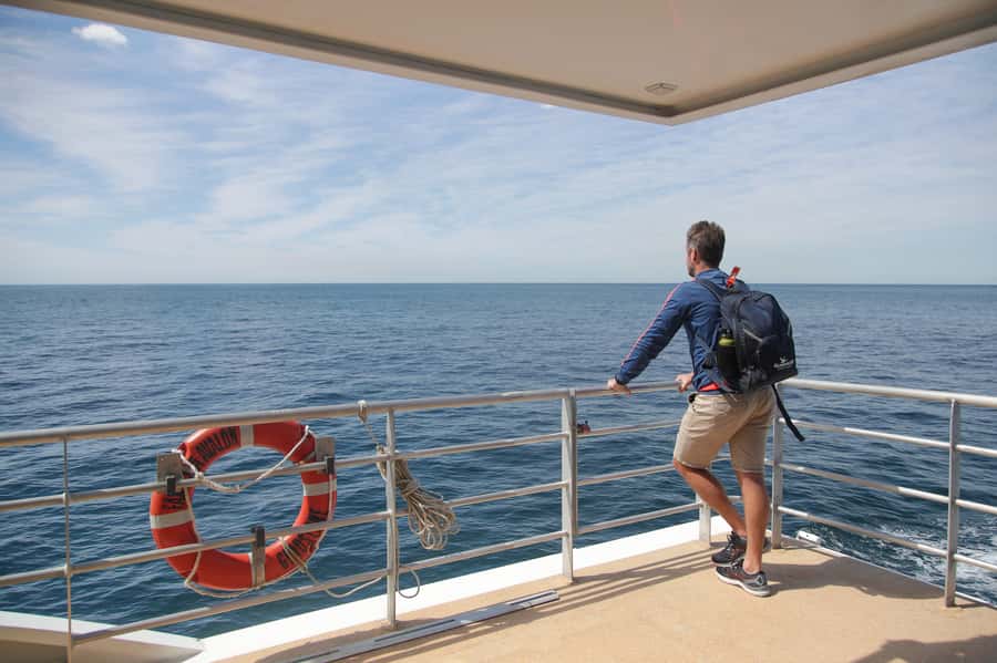 Sydney: Discovery Whale Watching Tour by Catamaran - Sound and narration: helpful, but don’t depend on it outside