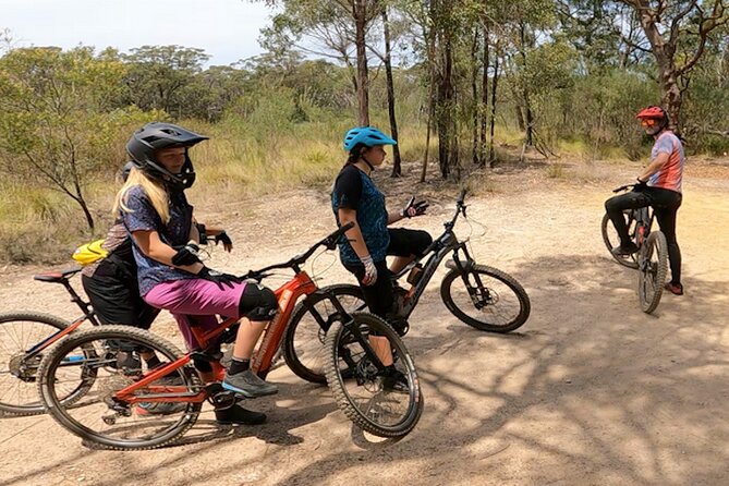 Sydney Electric Mountain Bike Guided Tour - Getting your route dialed in: from beginner single-track to pro-style lines
