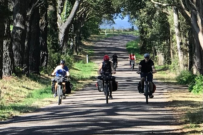 Sydney Electric Mountain Bike Guided Tour - Price and value: what $132.69 buys you in the real world